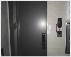  2025Ÿ��41528 ��� ���ý� ������ 2037-4       �ٰ������ð��