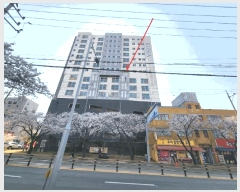  2025Ÿ41644  ý 굿 851-12 þ 8803ȣ     Ʈ