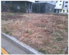  2025Ÿ��41669  �������