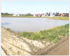  2025Ÿ��41676  �������