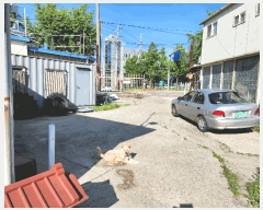  2025Ÿ��41755 ��� ���ý� �뺹�� 249-9       ����(����)���