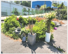  2025Ÿ41764  ý û 踮 452-6      