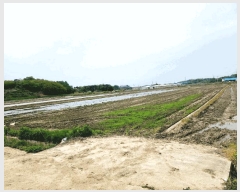  2025Ÿ41811  ý   494      ()