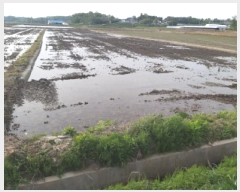  2025Ÿ41811  ý   494      ()