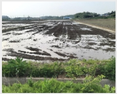  2025Ÿ41811  ý   494      ()