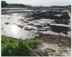  2025Ÿ41811  ý   494      ()