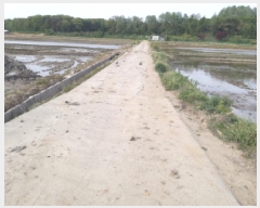  2025Ÿ41811  ý   494      ()