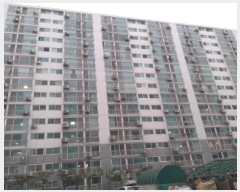  2025Ÿ41811  ý   494      ()