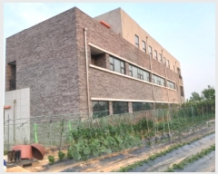  2025Ÿ��41942  �ٸ��ü����