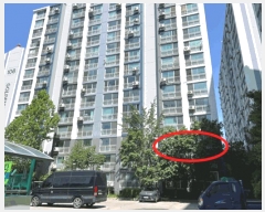  2025Ÿ��41949 ��� �ȼ��� �ݱ��� �ž纹�� 139-1 ȫ�;���Ʈ 108�� 3��301ȣ   ����Ʈ���