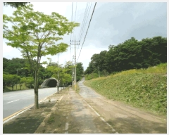  2025Ÿ��41960  �����