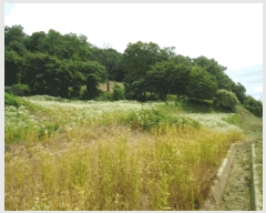  2025Ÿ��41960  �����