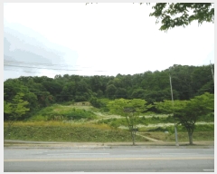  2025Ÿ��41960  �����