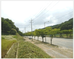  2025Ÿ��41960  �����