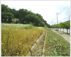  2025Ÿ��41960  �����