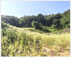  2025Ÿ��41960  �����