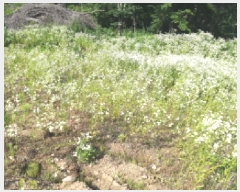  2025Ÿ��41960  �����