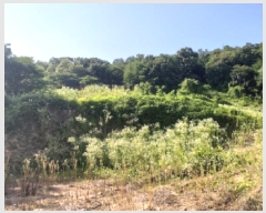  2025Ÿ��41960  �����