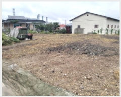  2025Ÿ��42000 ��� ���ý� ������ ��ȭ�� 212-2      ����(����)���