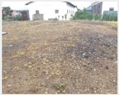  2025Ÿ��42000 ��� ���ý� ������ ��ȭ�� 212-2      ����(����)���