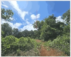  2025Ÿ��42038 ��� ���ý� ������ �米�� ��75-2      ����(�Ӿ�)���