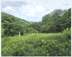  2025Ÿ��42038 ��� ���ý� ������ �米�� ��75-2      ����(�Ӿ�)���