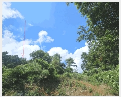  2025Ÿ��42038 ��� ���ý� ������ �米�� ��75-2      ����(�Ӿ�)���