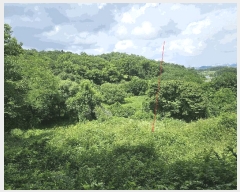  2025Ÿ��42038 ��� ���ý� ������ �米�� ��75-2      ����(�Ӿ�)���