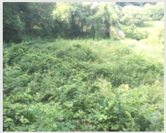  2025Ÿ��42038 ��� ���ý� ������ �米�� ��75-2      ����(�Ӿ�)���