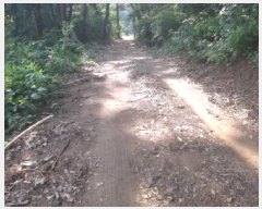  2025Ÿ��42038 ��� ���ý� ������ �米�� ��75-2      ����(�Ӿ�)���