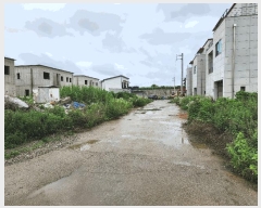  2025Ÿ��42049 ��� ���ý� �ؼ��� ���긮 11-38      ���ð��