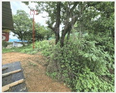  2025Ÿ��42122 ��� ���ý� ������ ���츮 451-3      ����(����)���