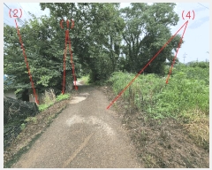  2025Ÿ��42122 ��� ���ý� ������ ���츮 451-3      ����(����)���