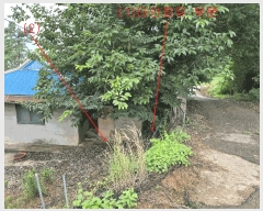  2025Ÿ��42122 ��� ���ý� ������ ���츮 451-3      ����(����)���