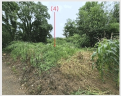  2025Ÿ��42122 ��� ���ý� ������ ���츮 451-3      ����(����)���