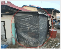  2025Ÿ��42144  ���ð��