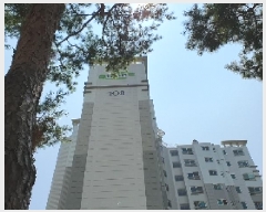  2025Ÿ��42154 ��� ���ý� û���� ���渮 1091 ����û���̾Ⱦ���Ʈ 108�� 3��302ȣ   ����Ʈ���