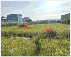  2025Ÿ��42169  �ٸ����ð��