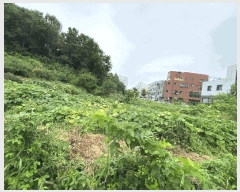  2025Ÿ��42231 ��� ���ý� ������ 627-4       ����(����)���