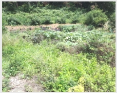  2025Ÿ��42231 ��� ���ý� ������ 627-4       ����(����)���