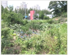  2025Ÿ��42231 ��� ���ý� ������ 627-4       ����(����)���