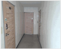  2025Ÿ��42241 ��� ���ý� ������ ��ȭ�� 861-4      �ܵ�����,�����ð��