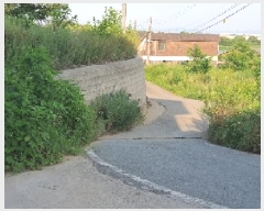  2025Ÿ��42281  ���ð��