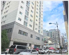  2025Ÿ��42499  ����Ʈ���