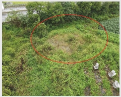  2025Ÿ��42522 ��� ���ý� û���� ����� 338-7      ����(��1)���