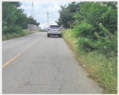  2025Ÿ��42522 ��� ���ý� û���� ����� 338-7      ����(��1)���