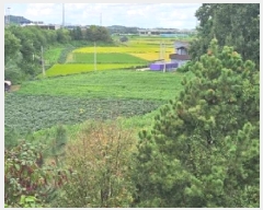  2025Ÿ��42522 ��� ���ý� û���� ����� 338-7      ����(��1)���