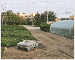  2025Ÿ��42583  �������