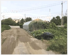  2025Ÿ��42583  �������