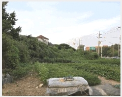  2025Ÿ��42583  �������